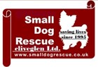 Small Dog Rescue, Cliveglen